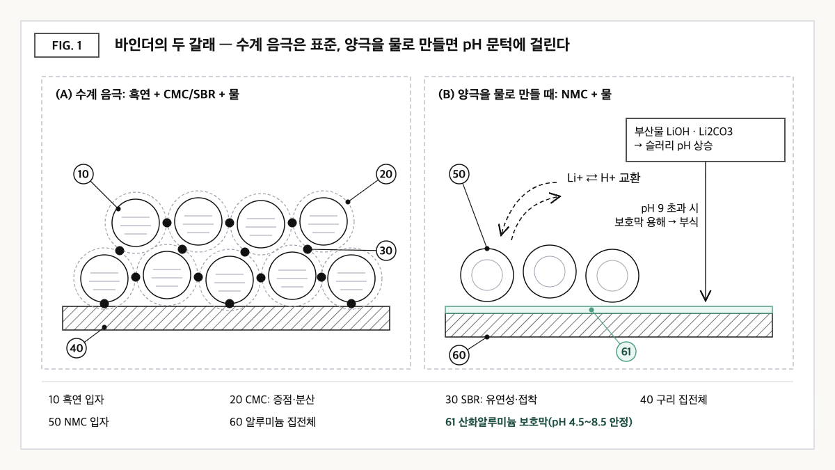 흑연 음극의 CMC·SBR 결착 구조와, NMC 양극을 물로 만들 때 Li+/H+ 교환으로 pH가 올라 알루미늄 보호막이 녹는 과정을 대비한 개념도
