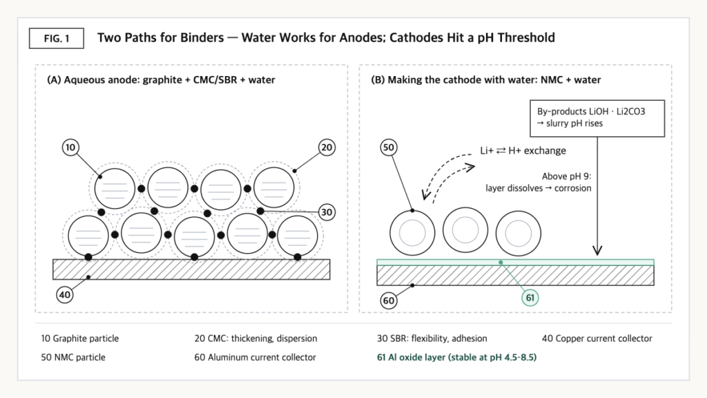 Diagram: CMC/SBR binding in a graphite anode vs. an NMC cathode in water, where rising pH attacks the aluminum layer
