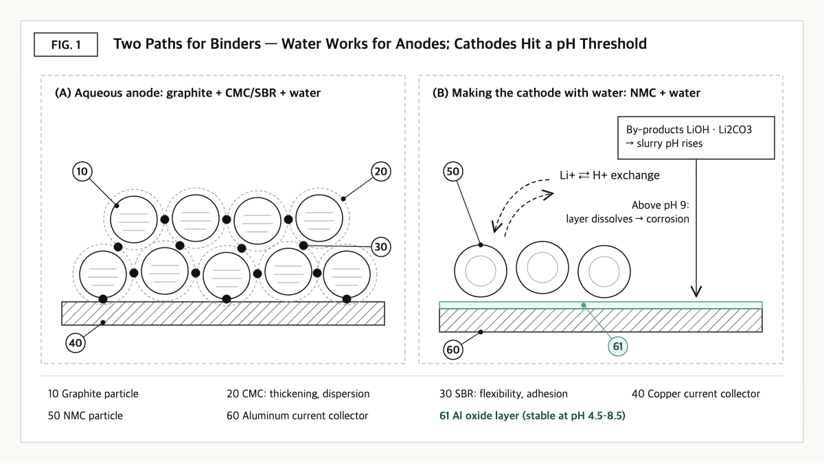 Diagram: CMC/SBR binding in a graphite anode vs. an NMC cathode in water, where rising pH attacks the aluminum layer