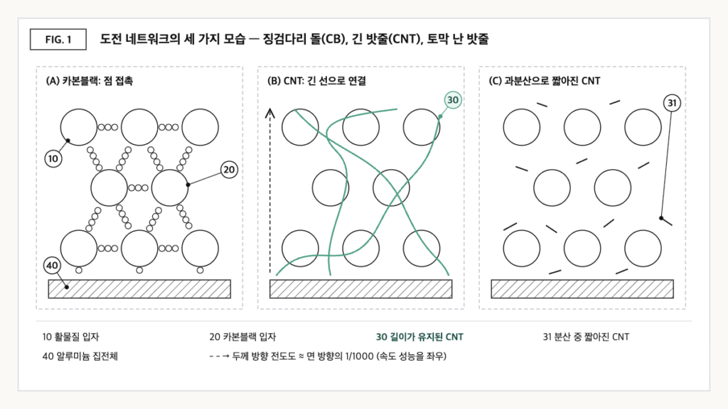 카본블랙의 점 접촉 사슬, 길이가 유지된 CNT의 선형 연결, 과분산으로 짧아진 CNT의 단절된 경로를 세 패널로 비교한 전극 단면 개념도
