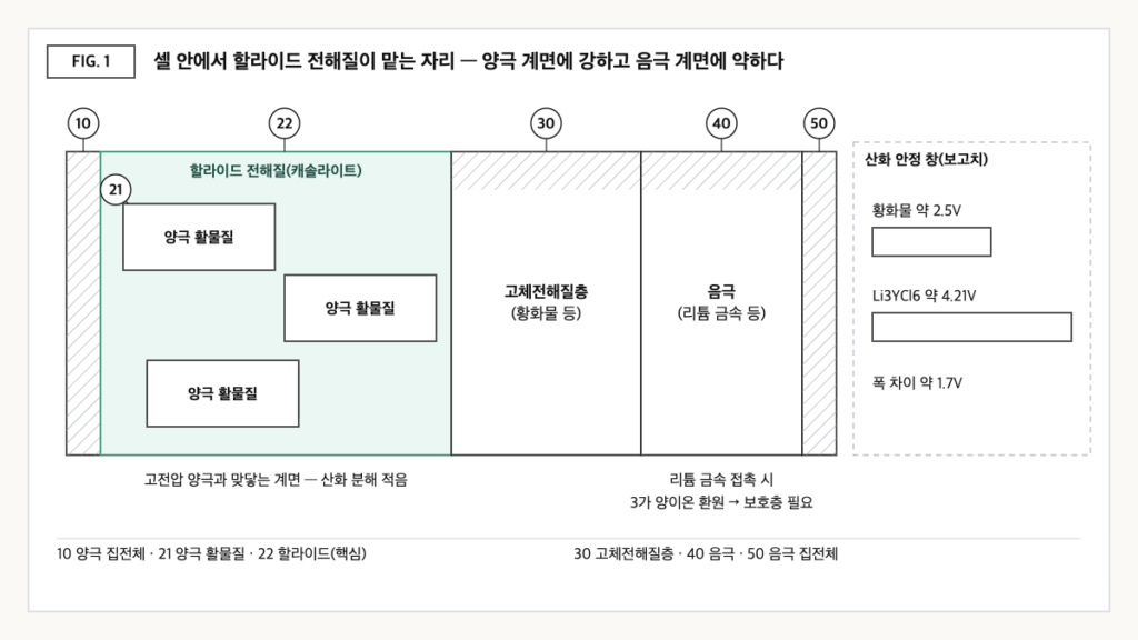 전고체 셀 단면에서 할라이드 전해질이 양극 활물질을 감싸는 캐솔라이트로 배치되고, 황화물 대비 넓은 산화 안정 창과 음극 쪽 환원 취약성을 함께 표시한 도식