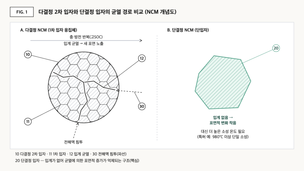 다결정 NCM 2차 입자에서 입계 균열로 전해액이 침투하는 경로와, 입계가 없는 단결정 NCM 입자를 나란히 비교한 개념도