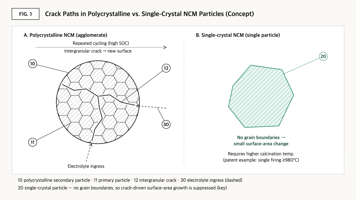 Concept diagram comparing electrolyte ingress through intergranular cracks in a polycrystalline NCM secondary particle with a grain-boundary-free single-crystal NCM particle