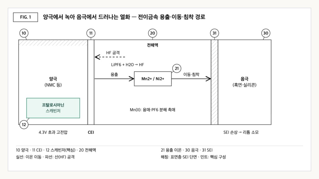 양극에서 불산 공격과 고전압으로 녹아 나온 망간·니켈 이온이 전해액을 건너 음극 SEI에 침착하는 경로와, 양극 내부 스캐빈저 첨가제를 강조한 단면 도식