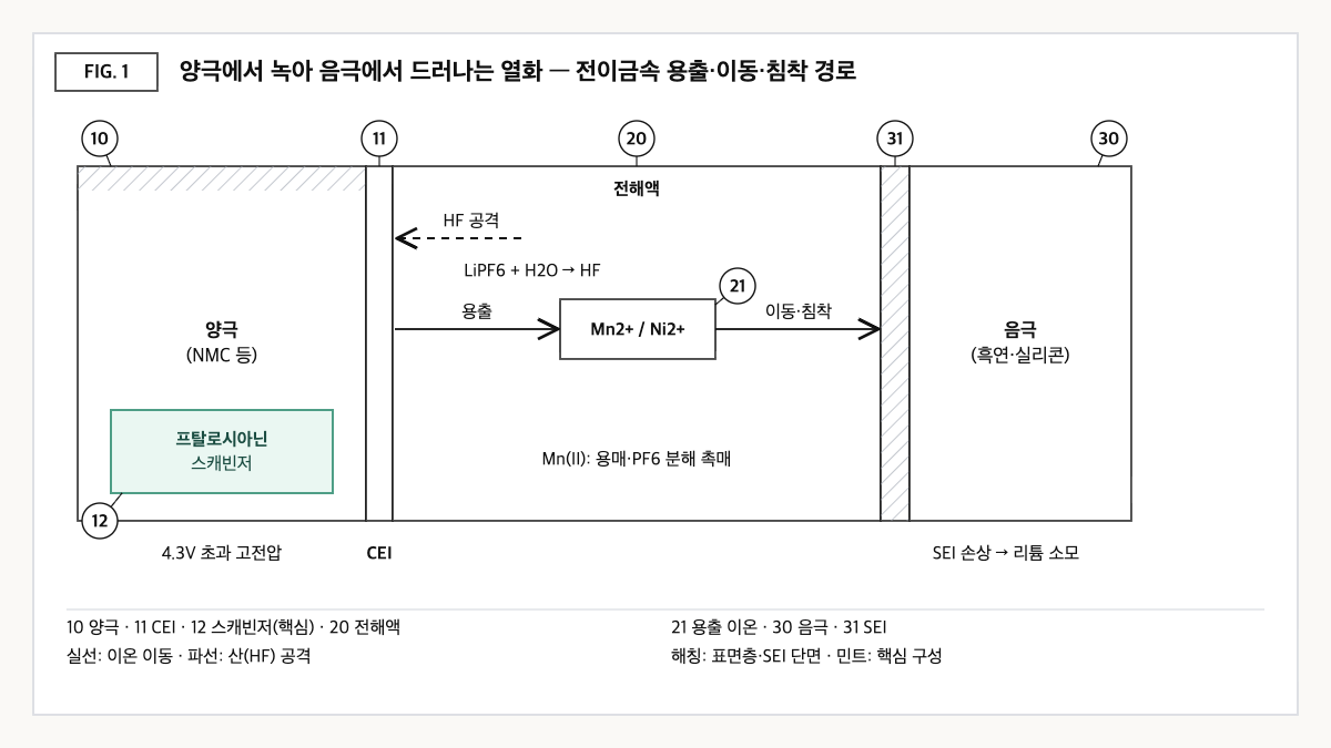 양극에서 불산 공격과 고전압으로 녹아 나온 망간·니켈 이온이 전해액을 건너 음극 SEI에 침착하는 경로와, 양극 내부 스캐빈저 첨가제를 강조한 단면 도식