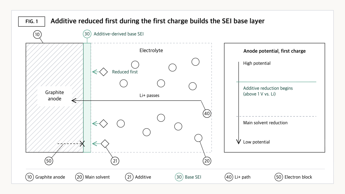 Concept diagram of VC/FEC additives being reduced before the main solvent on a graphite anode, forming a base SEI that passes lithium ions but blocks electrons